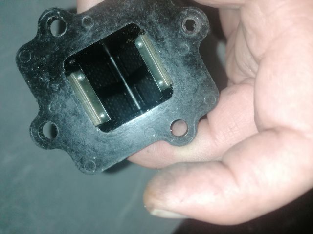 Tubo Admisión Top y Caja Láminas Polini