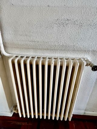 10 Radiadores Hierro Fundido