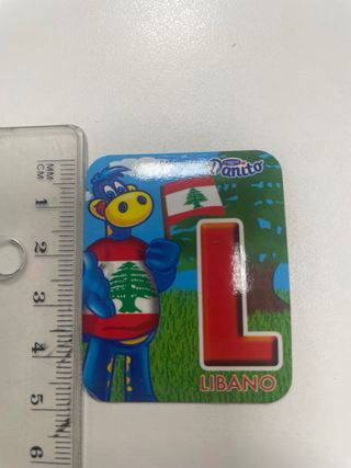 n.26 Magneti frigo lettere Danito