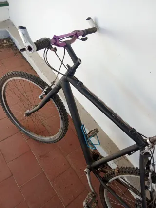 Bicicleta Clásica Azul