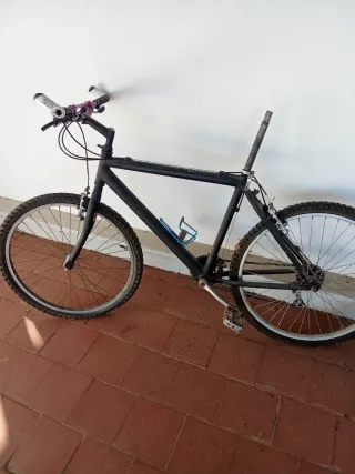 Bicicleta Clásica Azul