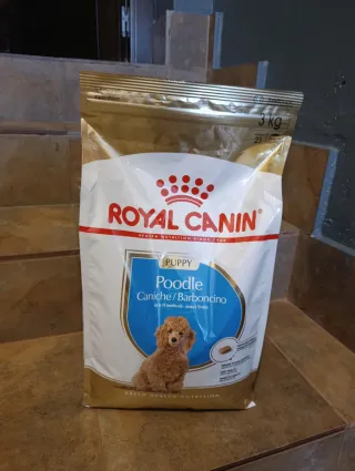 Pienso Royal Canin Puppy Poodle 3kg
