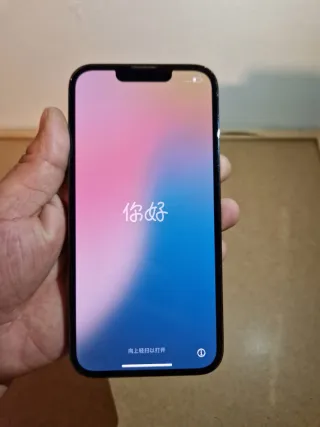 iPhone 13 Pro Space Gray