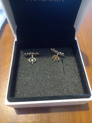 Pendientes Pandora Flores Plata