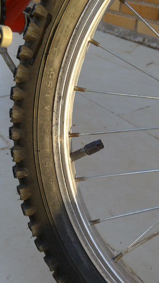 Bicicleta Infantil Roja 20''