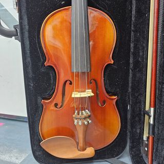 Instrumento Cuerda Violin Stagg VN-4/4X