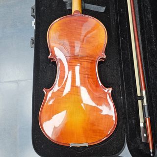Instrumento Cuerda Violin Stagg VN-4/4X