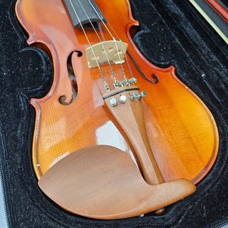 Instrumento Cuerda Violin Stagg VN-4/4X