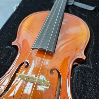 Instrumento Cuerda Violin Stagg VN-4/4X