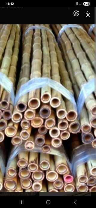 CAÑAS PARA HUERTO Y MANUALIDADES