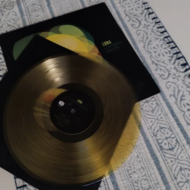 Luna A Sentimental Education Vinilo Transparente