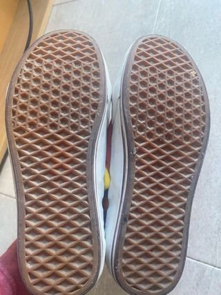 Zapatillas Vans Multicolor