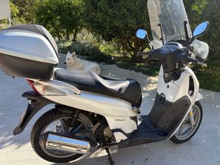 Honda Scoopy 150 i.