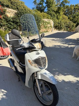 Honda Scoopy 150 i.