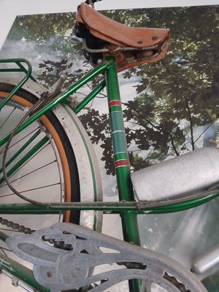 Bicicleta Clásica Verde