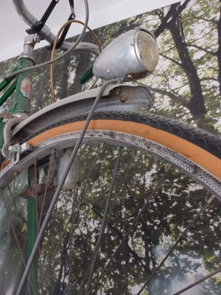 Bicicleta Clásica Verde