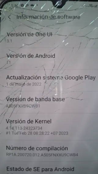 Samsung Galaxy A50 Schermo Originale Rotto Funziona