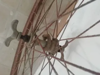 Bicicleta Súper Cil para restaurar