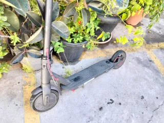 Patinete Eléctrico Xiaomi Mi Electric Scooter 365