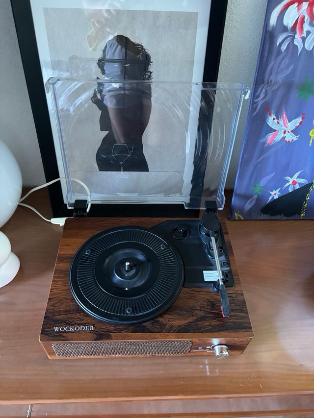 Reproductor Vinilos Retro Marrón/Plata