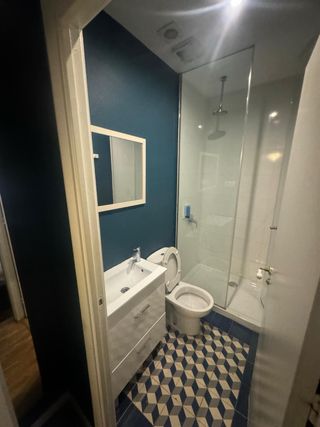 Pintor profesional económico