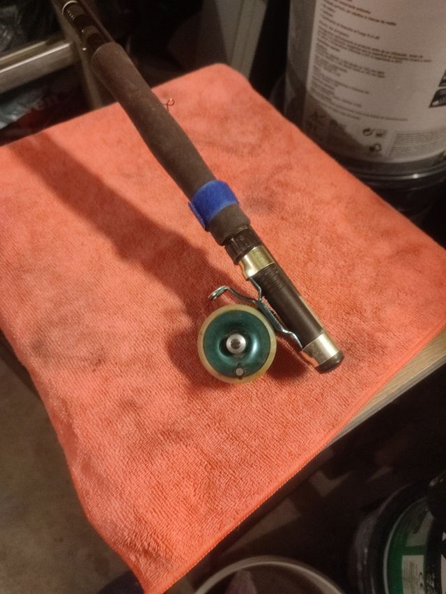 Caña de pesca con carrete