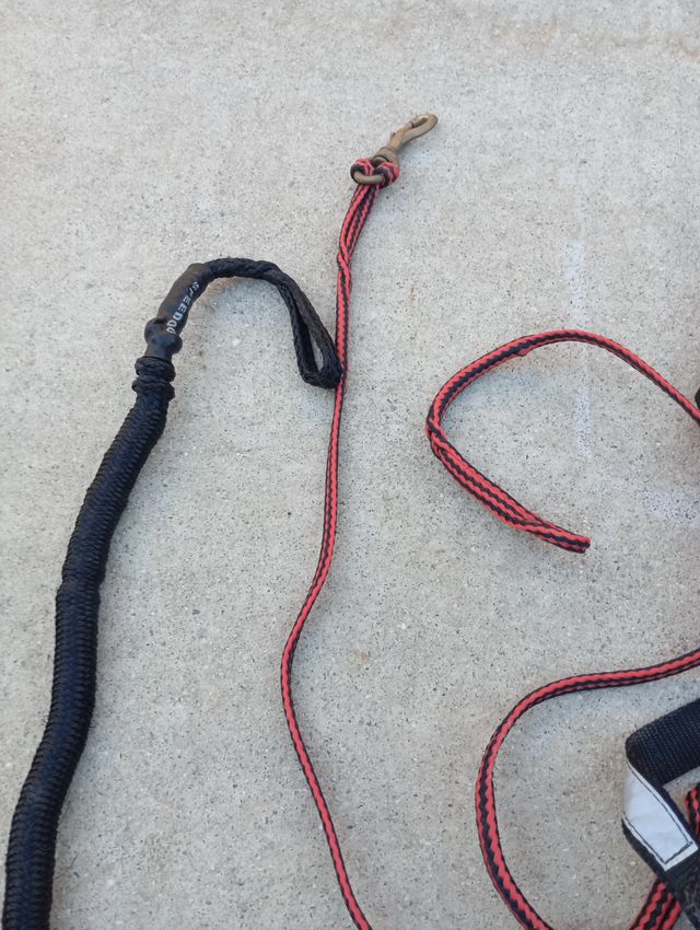 Pack Canicross completo