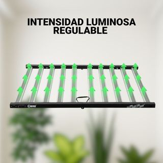 Lucius 1000W 2.9 LED Cultivo