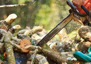 Servicio de corte de leña y podas