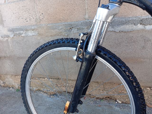 Patinete Kickbike Cross Max Bikejoring