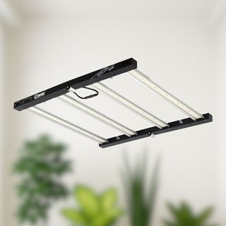 Luz Cultivo Lucius 400W Black Label