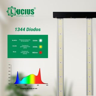 Luz Cultivo Lucius 400W Black Label