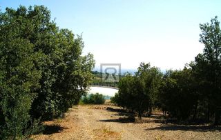 Terreno en venta en Selva del Camp, La