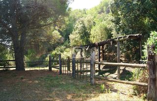 Terreno en venta en Selva del Camp, La