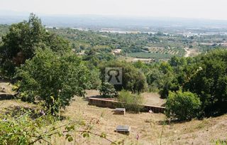 Terreno en venta en Selva del Camp, La