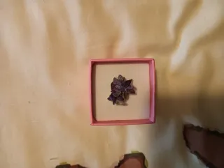 Lote Bisutería collares anillos pulseras pendiente