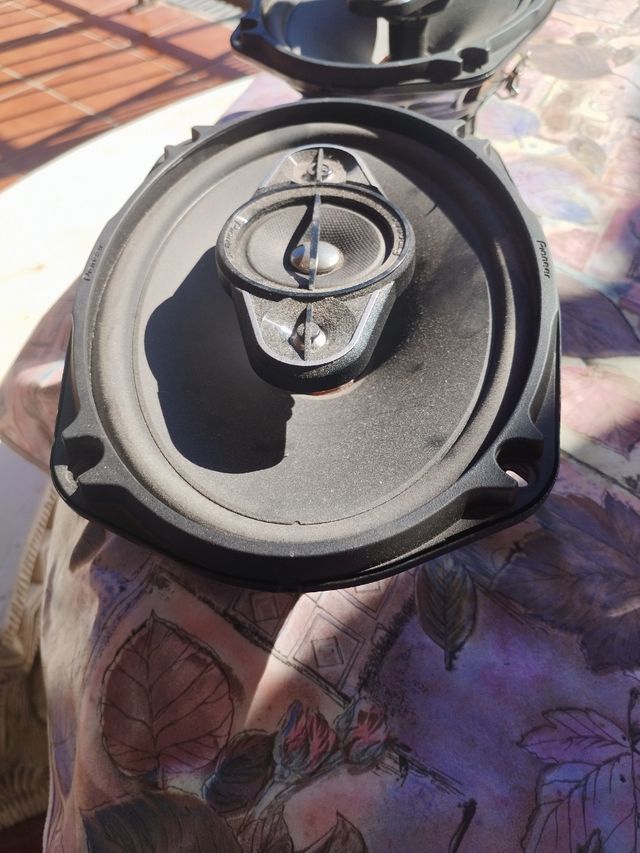 Subwoofer Pioneer 650W Ovalado Negro