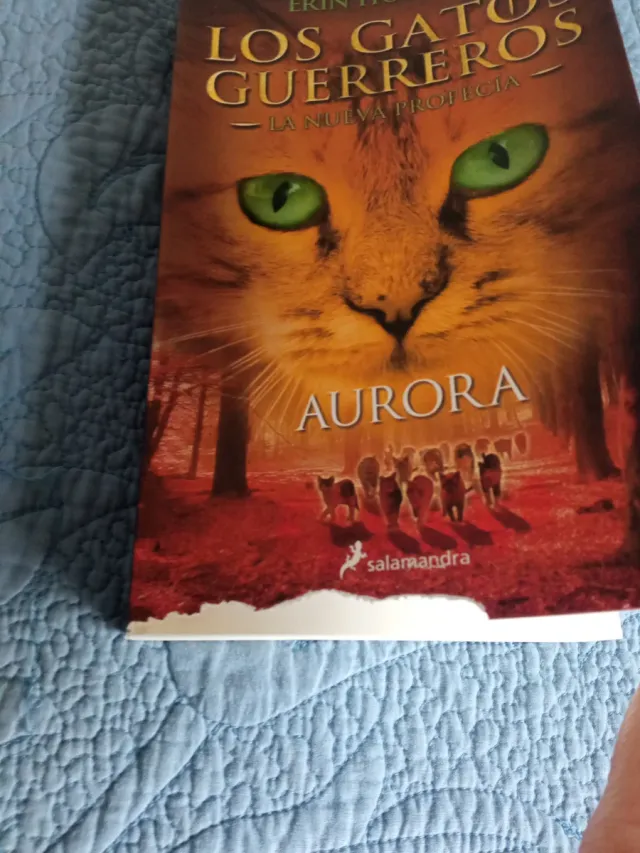 Aurora / Dawn (GATOS GUERREROS / WARRIORS) (Spa...