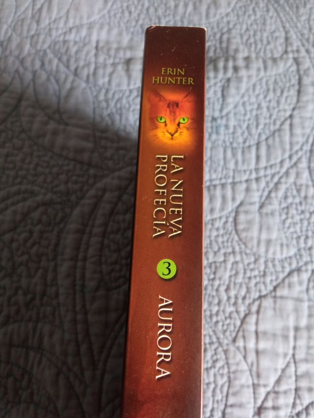 Aurora / Dawn (GATOS GUERREROS / WARRIORS) (Spa...