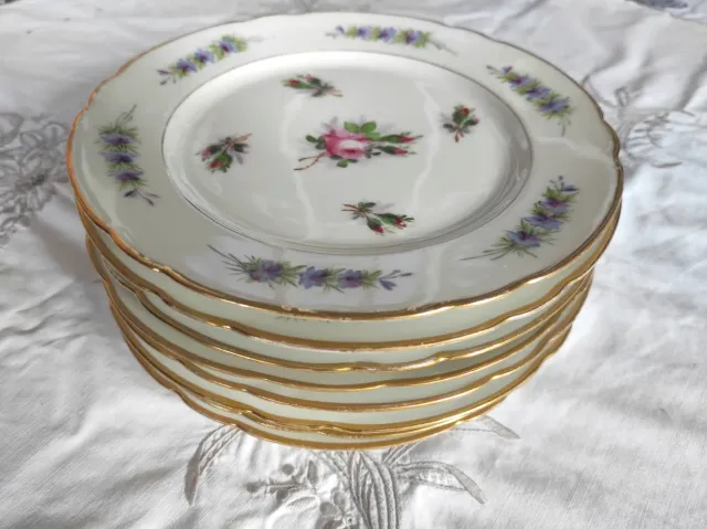 8 Piatti dessert Francia 1870