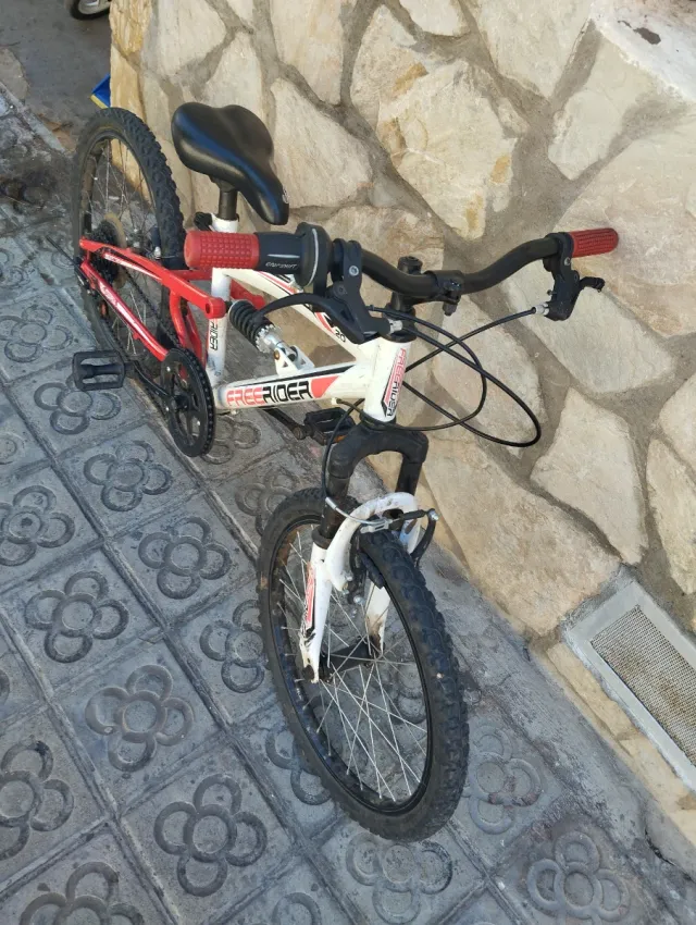 Bicicleta infantil Freerider 20