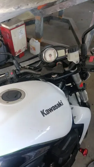 Kawasaki Moto 2010