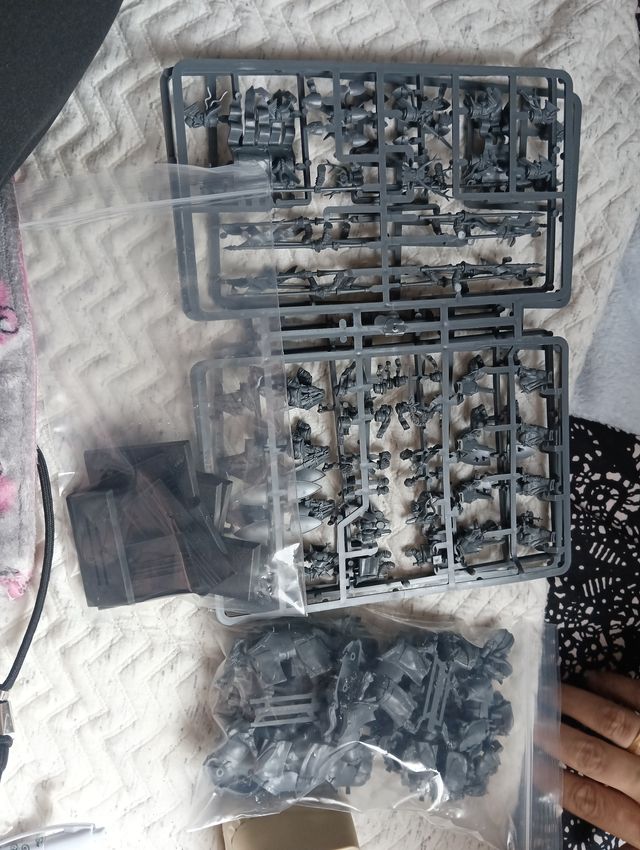 12 Caballeros Knights of the Realm