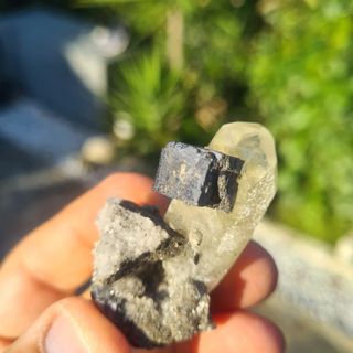 Minerali Collezione Galena su Cristallo Anglesite