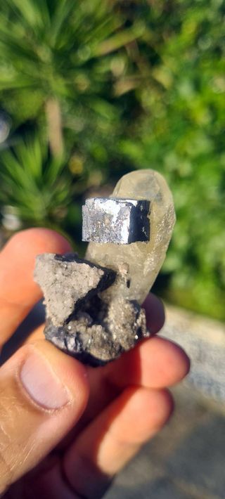 Minerali Collezione Galena su Cristallo Anglesite