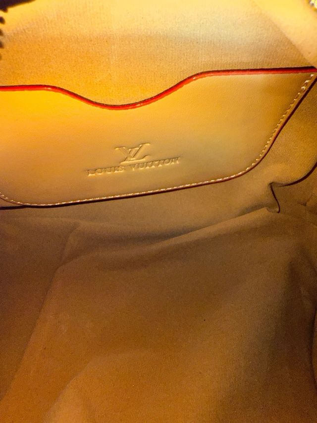 Bolso Louis Vuitton Multicolor