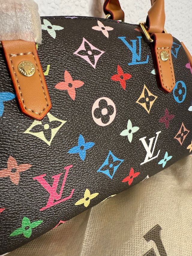 Bolso Louis Vuitton Multicolor
