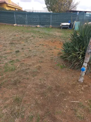 Terreno 500m² en alquiler en Turleque es urbano se