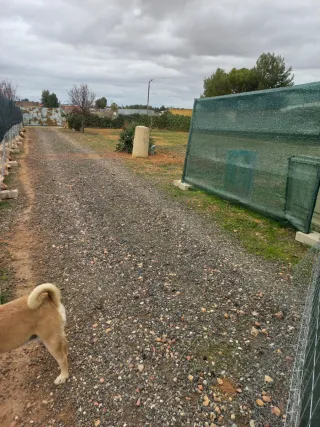 Terreno 500m² en alquiler en Turleque es urbano se
