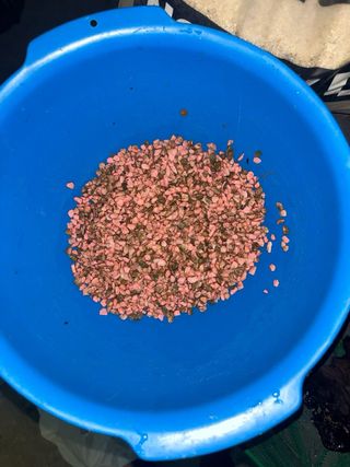 Kit accessori per acquari 100/200L